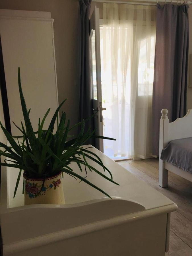 The White Hotel 阿拉恰特 外观 照片